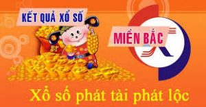 Dự đoán kết quả 15/11 